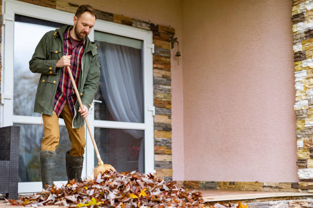 Best Trash Removal Near Me  in Westville, NJ